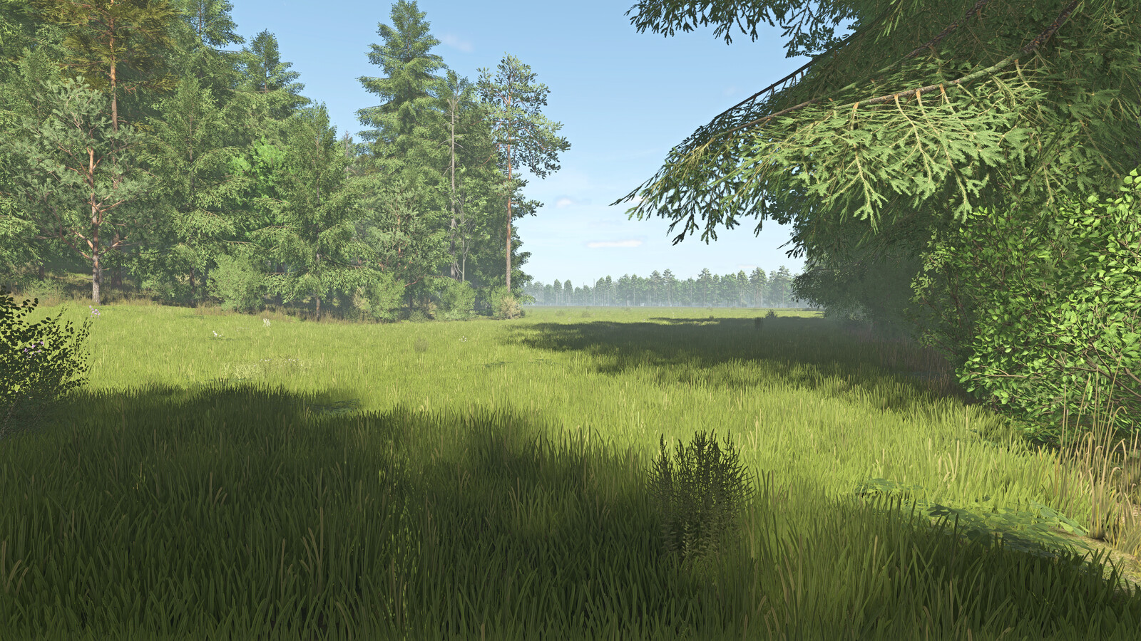 Vast Country