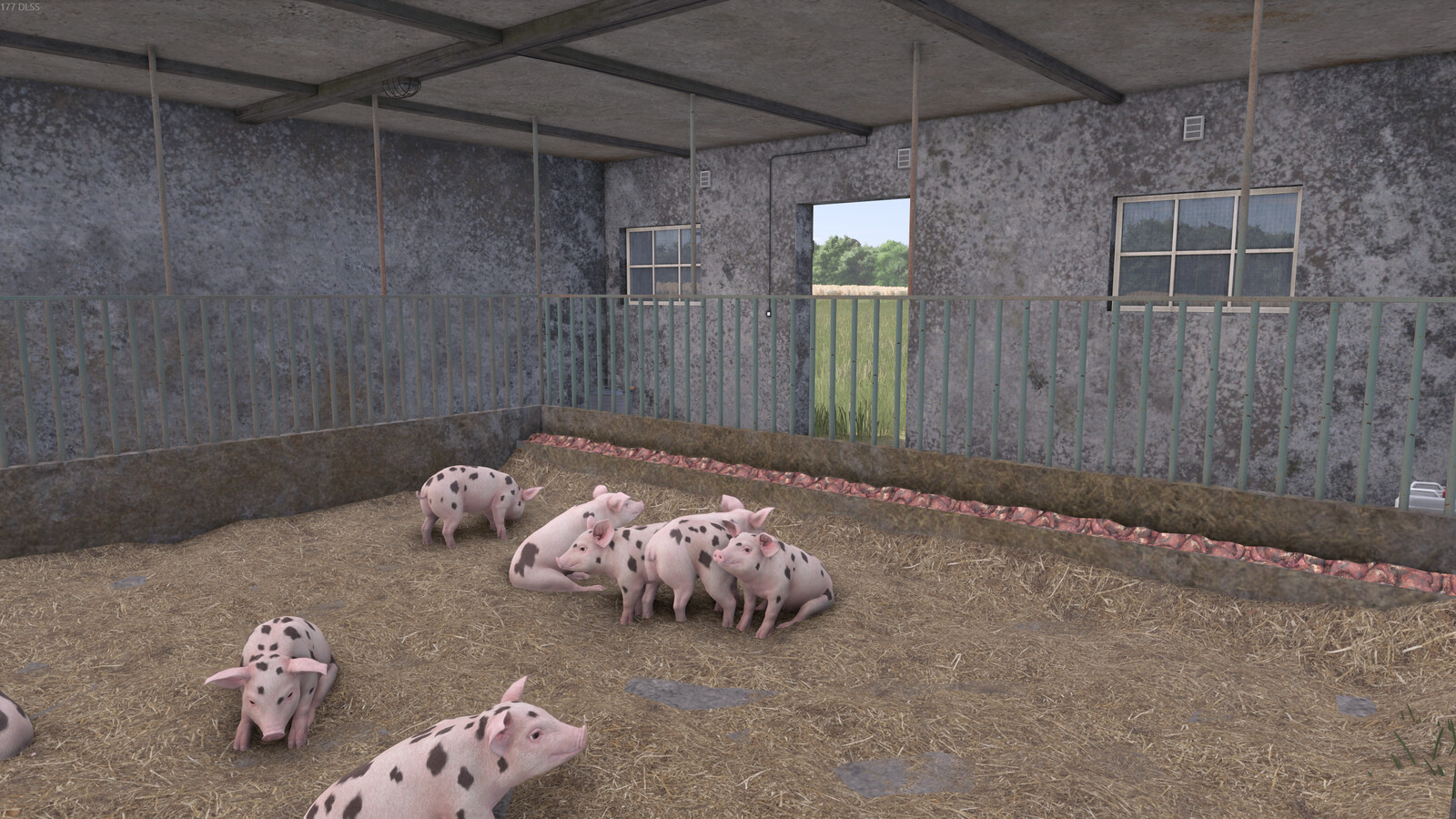 Old Cattle And Pig Barn