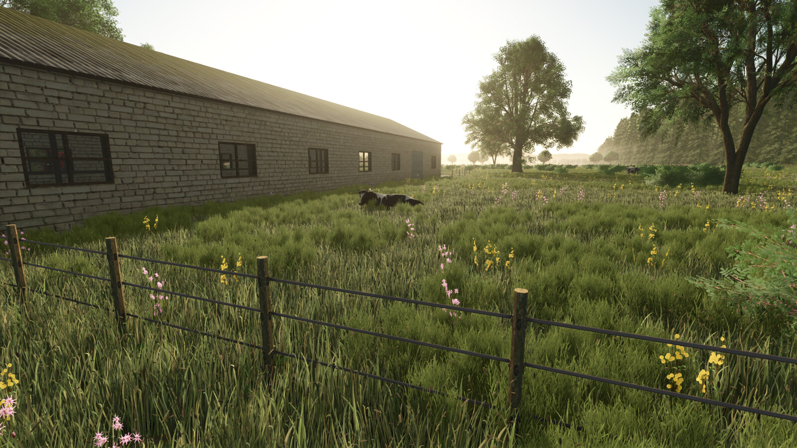 Tässi Farm