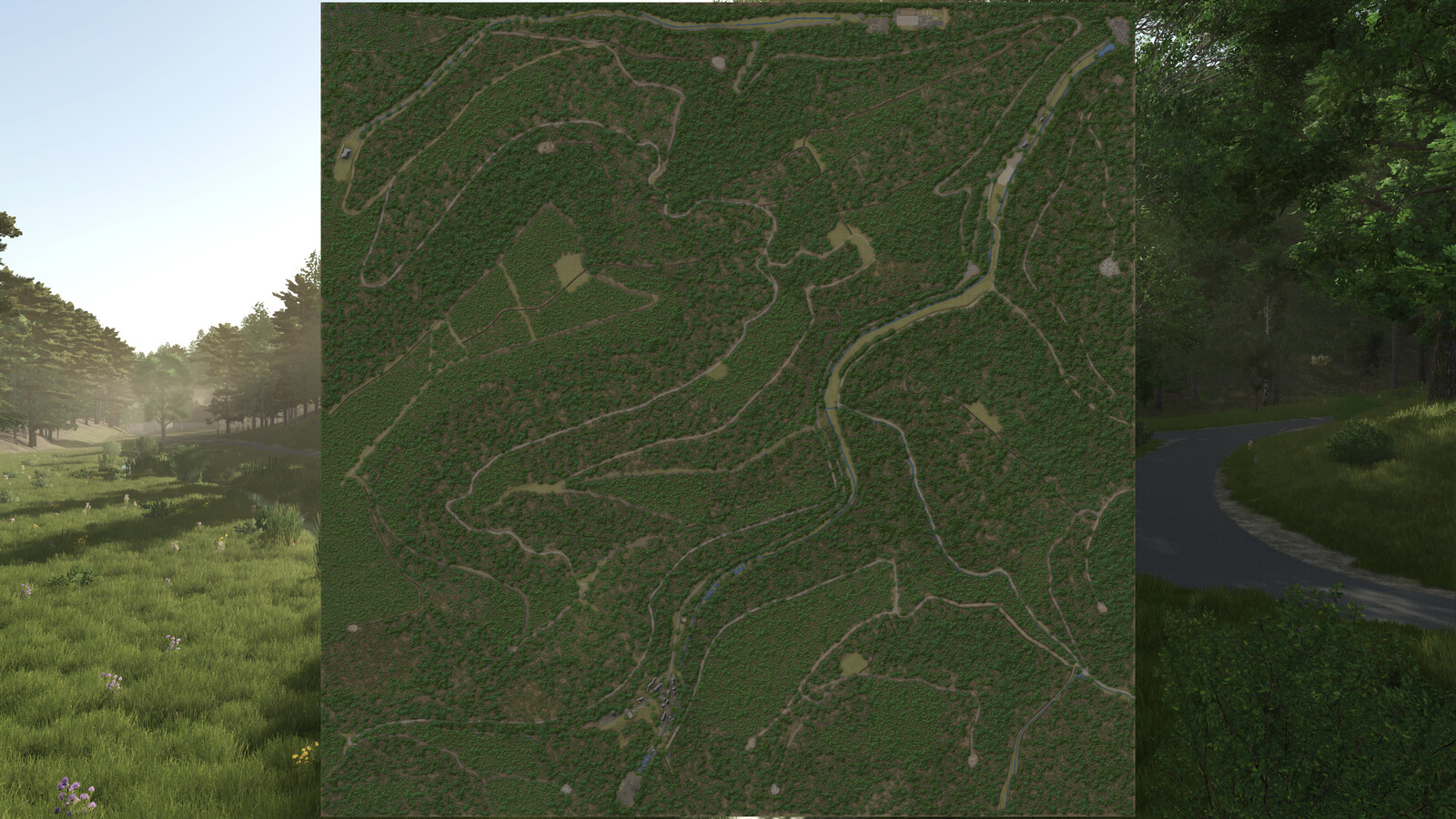 Palatinate Forest