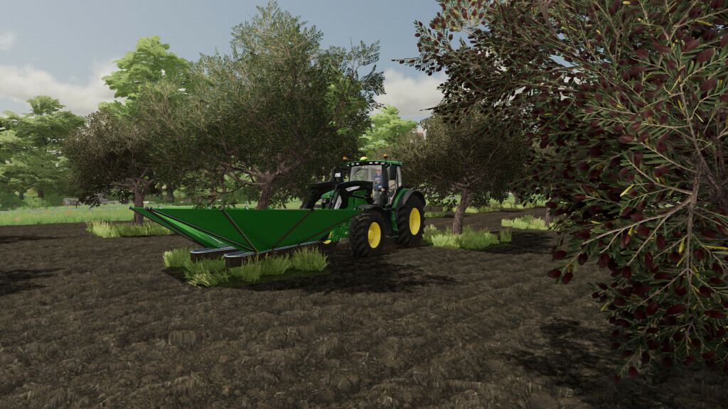 Olives + Olive Picker