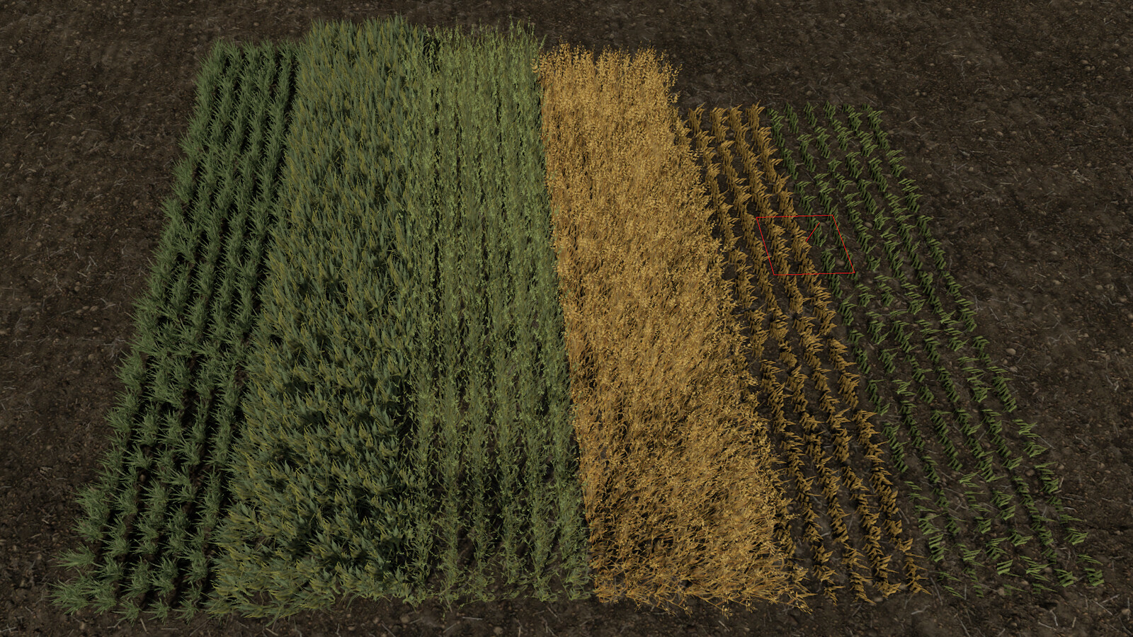 Row Seeding Barley, Oat, Wheat, Canola, Mulitfruit (Prefab*)