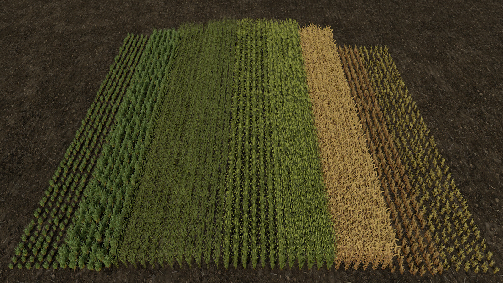Row Seeding Barley, Oat, Wheat, Canola, Mulitfruit (Prefab*)