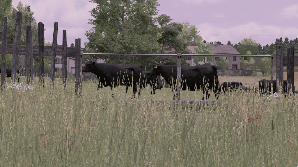 TerraLifePlus Animal Food Additions