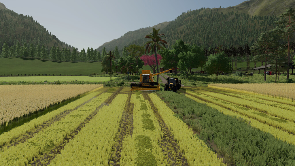 Agro Sul Rice