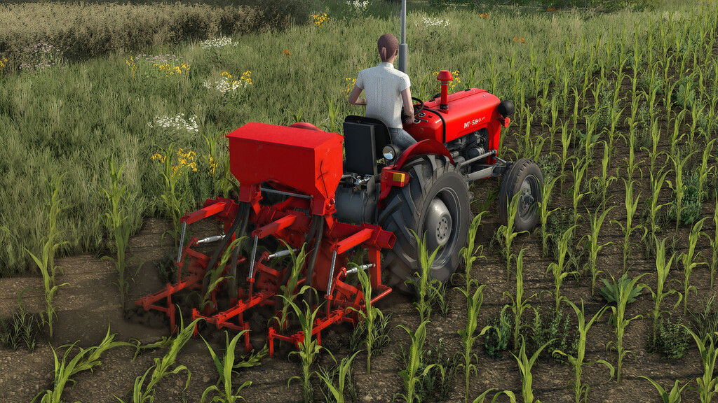TIM Weeder 2 Row