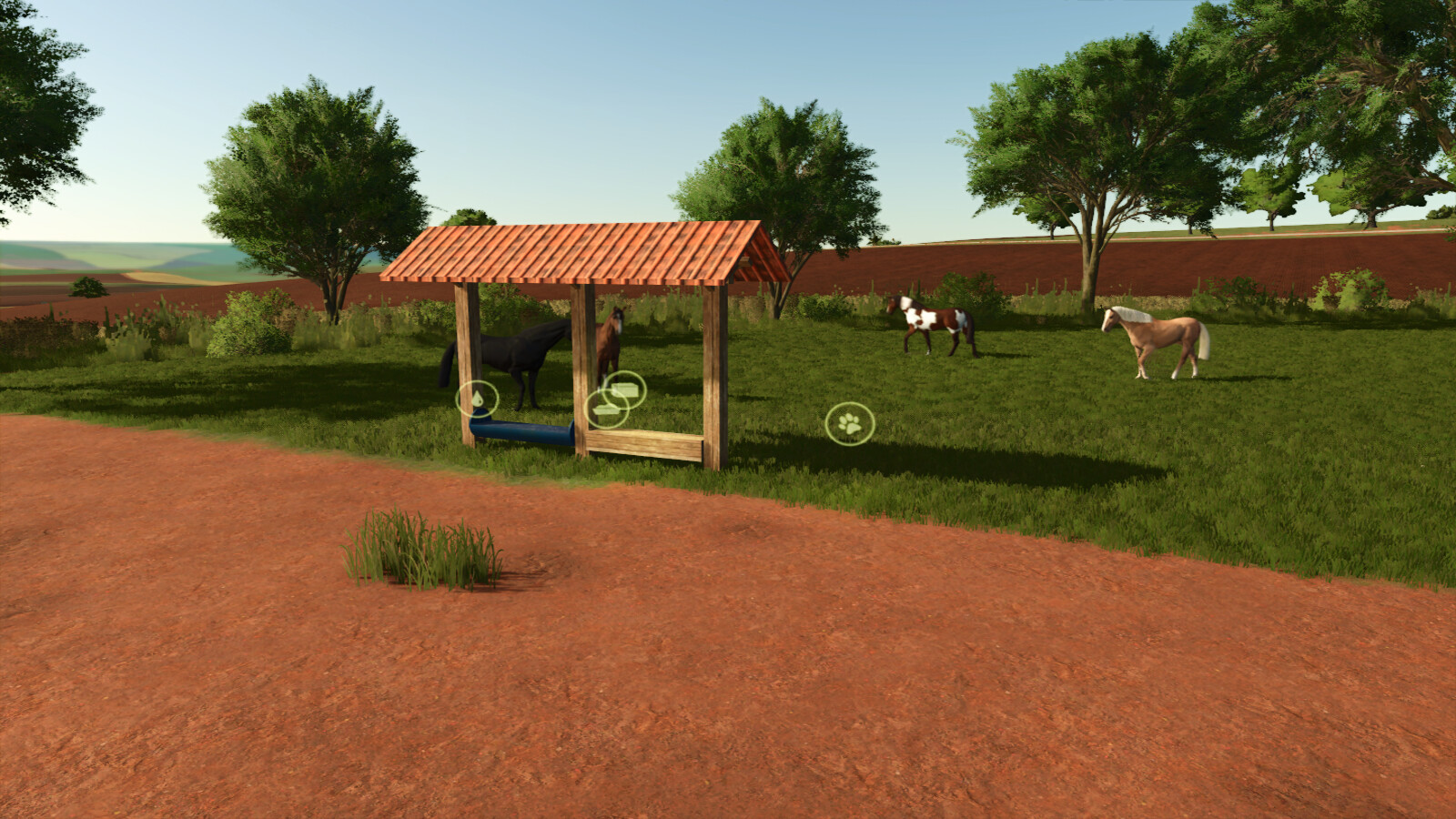 Small Pasture For Cows, Horses, And Sheep