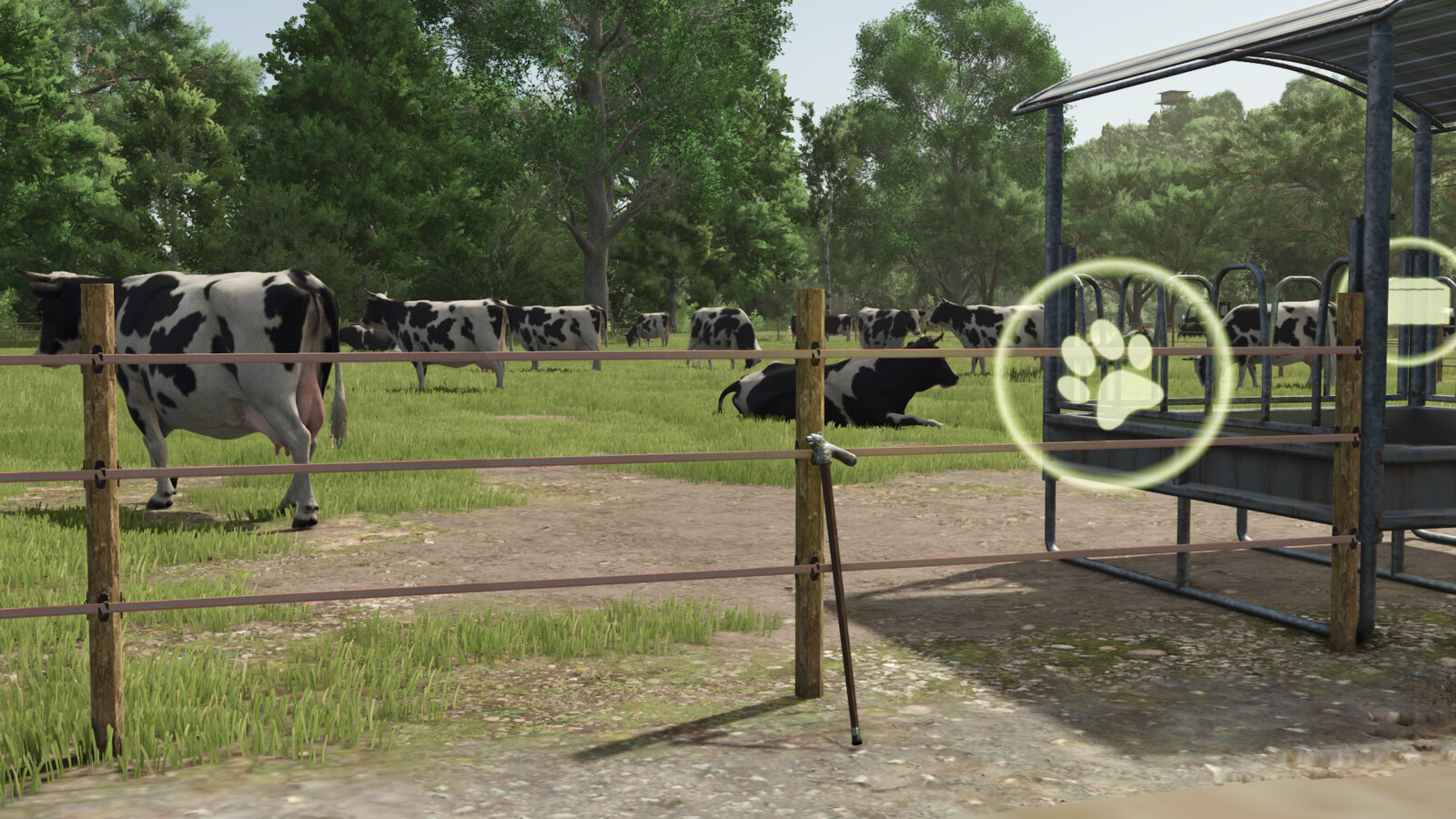 Herdsman's Stick