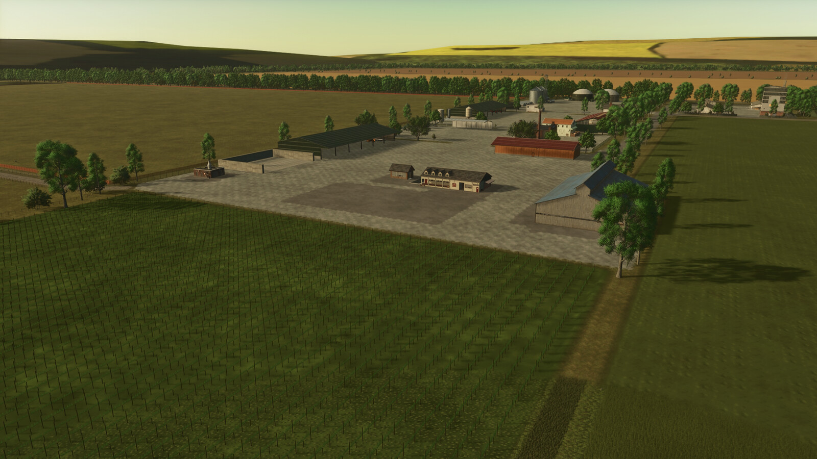 Cows Farm