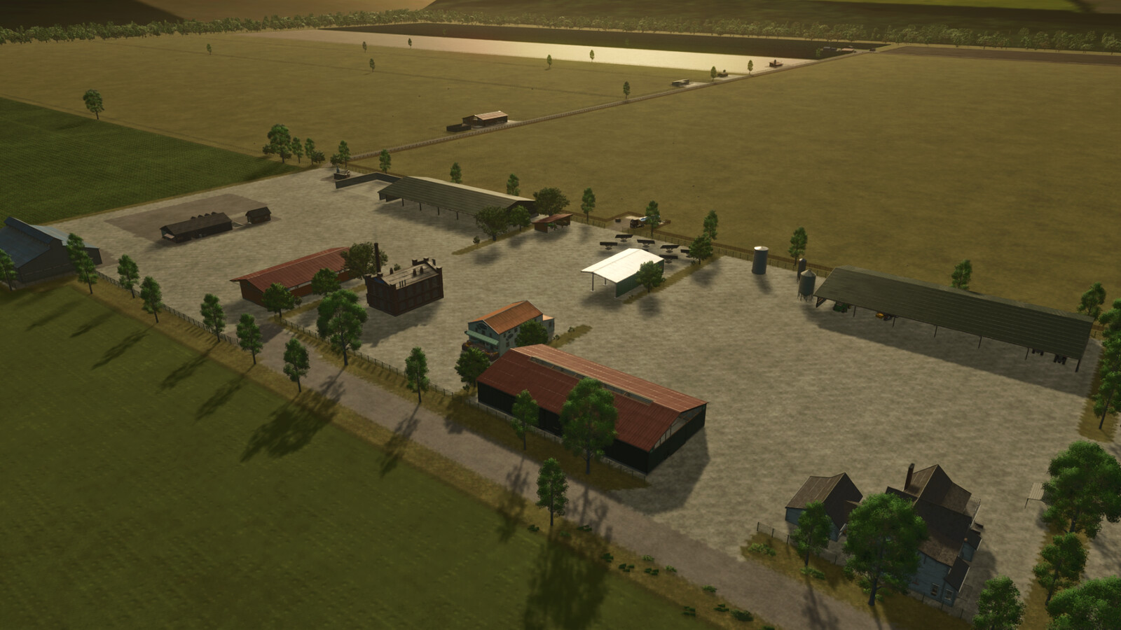 Cows Farm