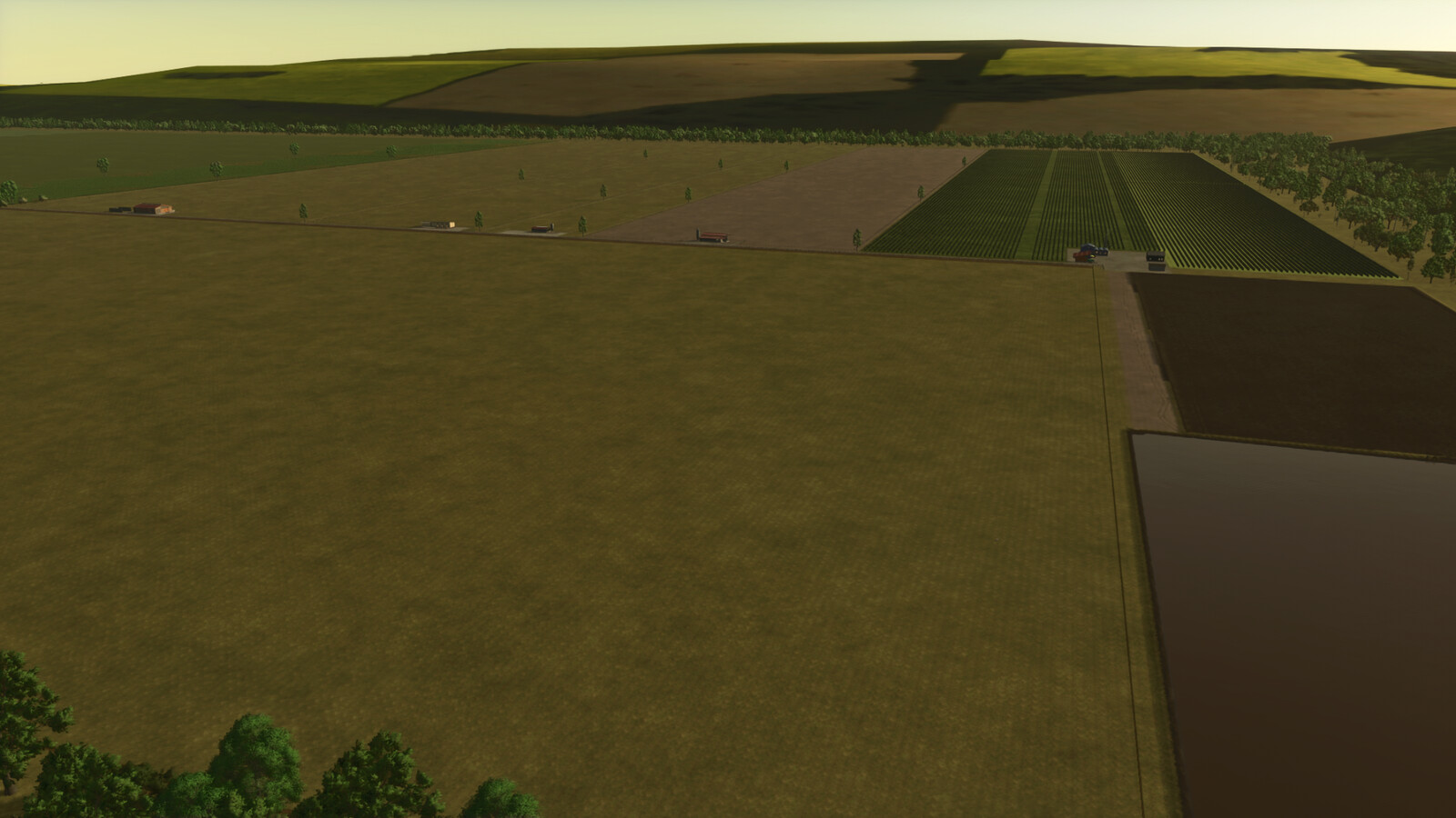 Cows Farm