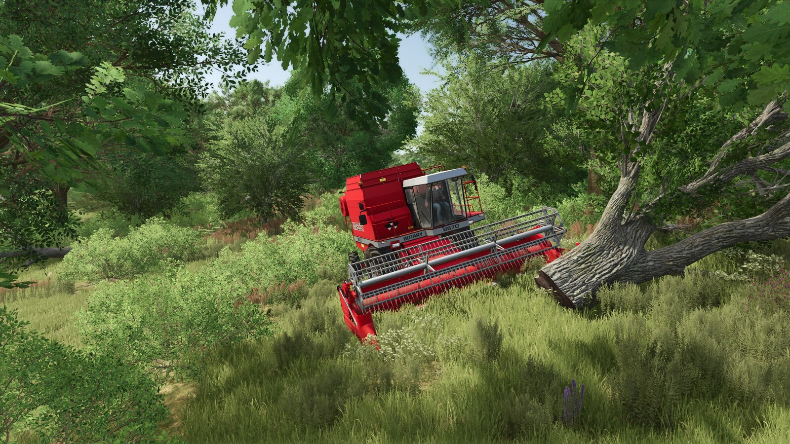 Impact Tree Feller - Impact Damage