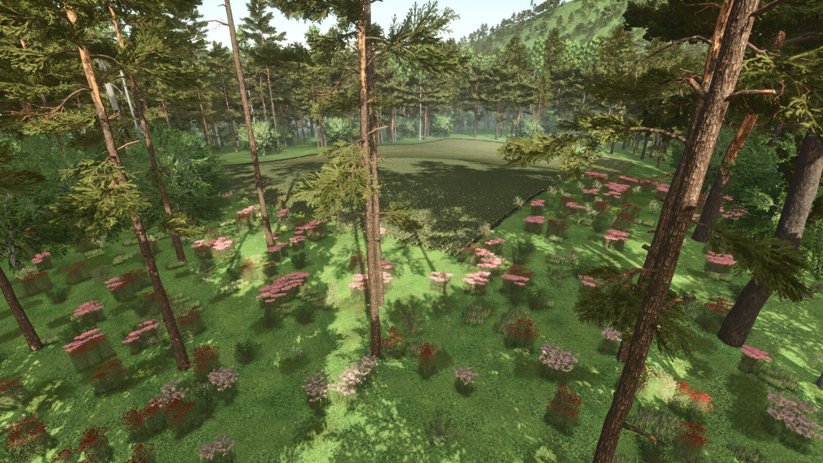Forest Challenge