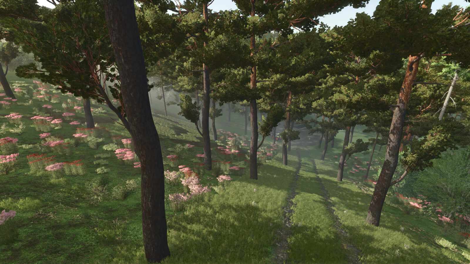 Forest Challenge