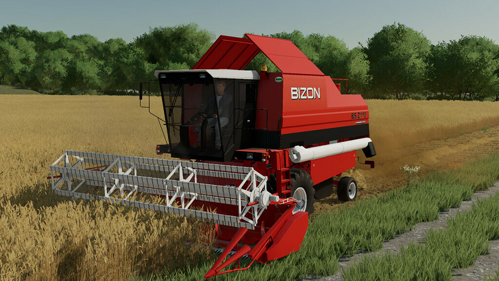 Bizon BS Z110