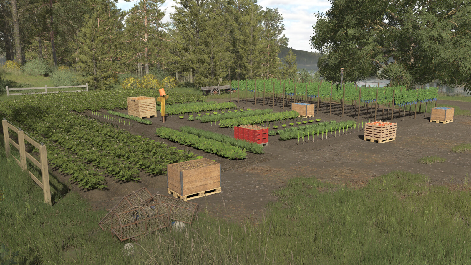 Polish Garden