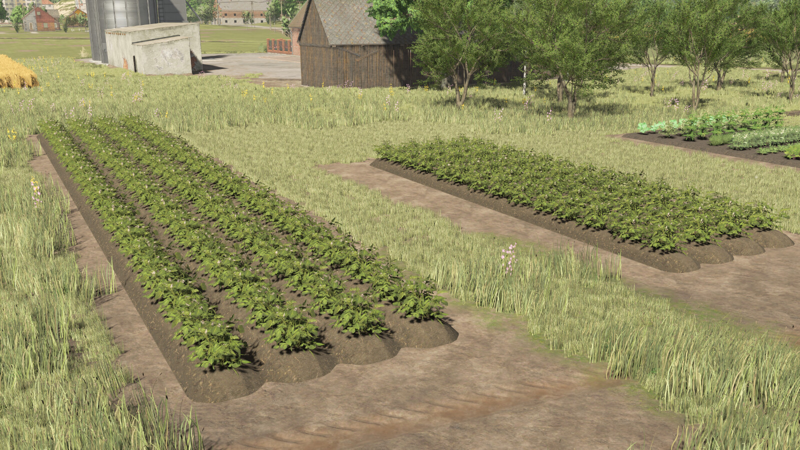 Polish Garden
