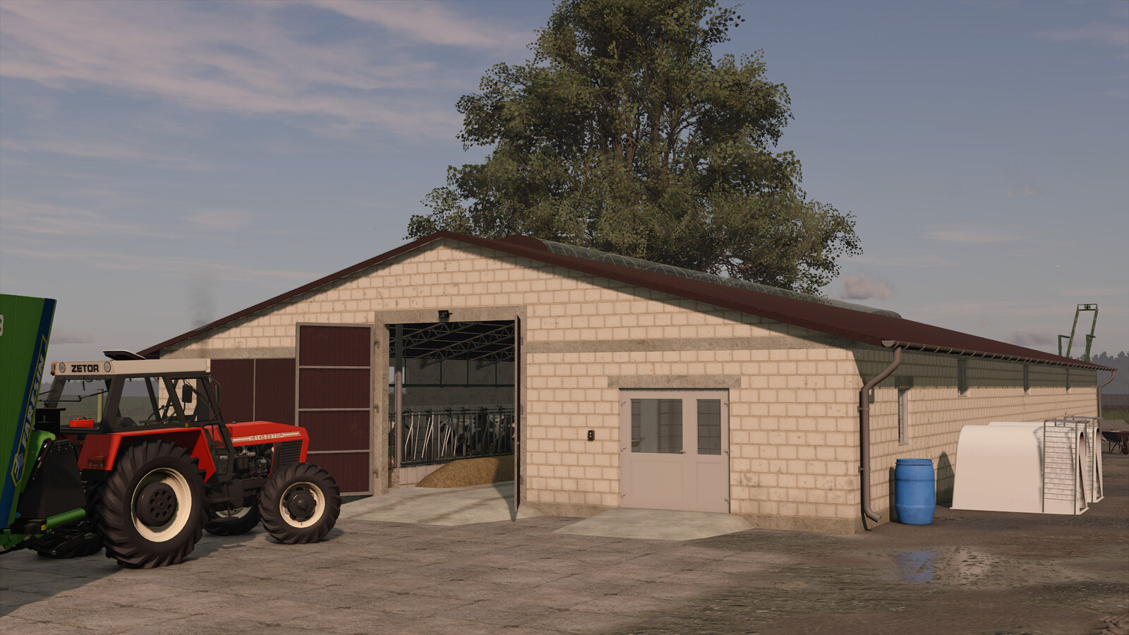 Cow Barn With Manure Conveyor