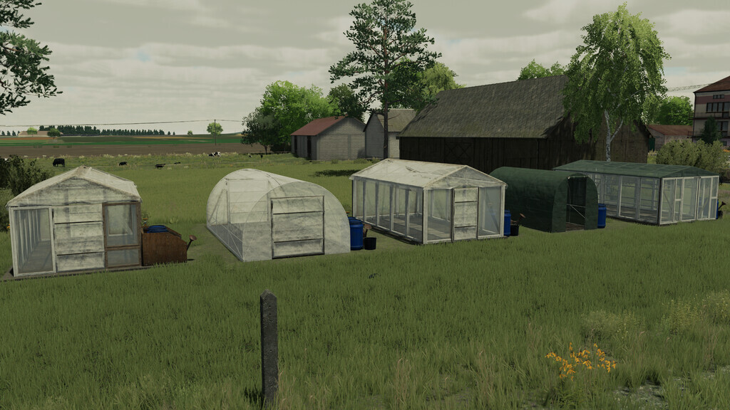 Pack Of Greenhouses