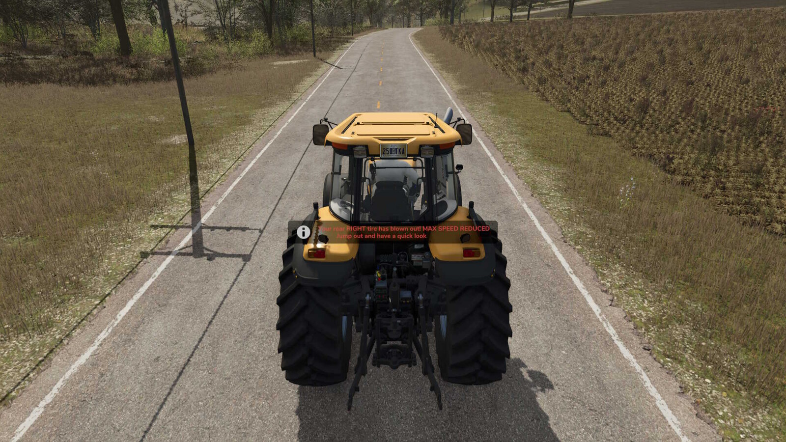 Punctured Tires