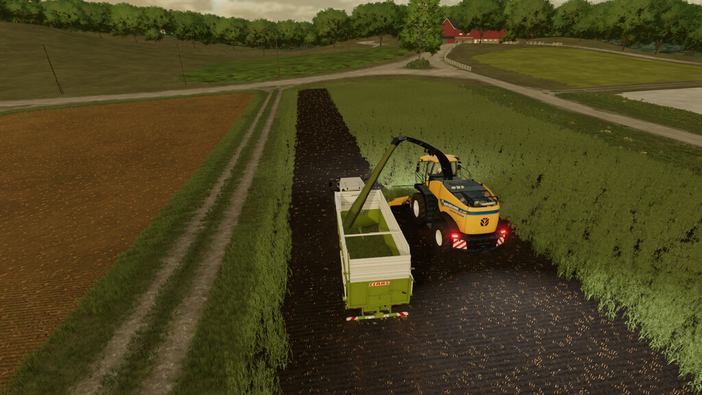 Forage Contracts