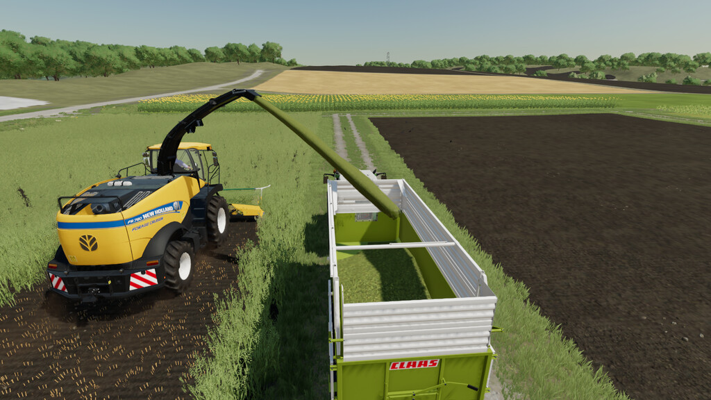 Forage Contracts