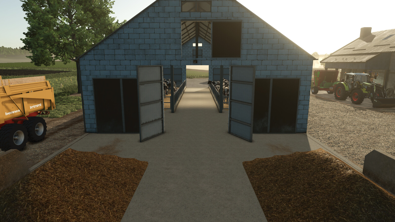 Cow Barn With Manure Plate