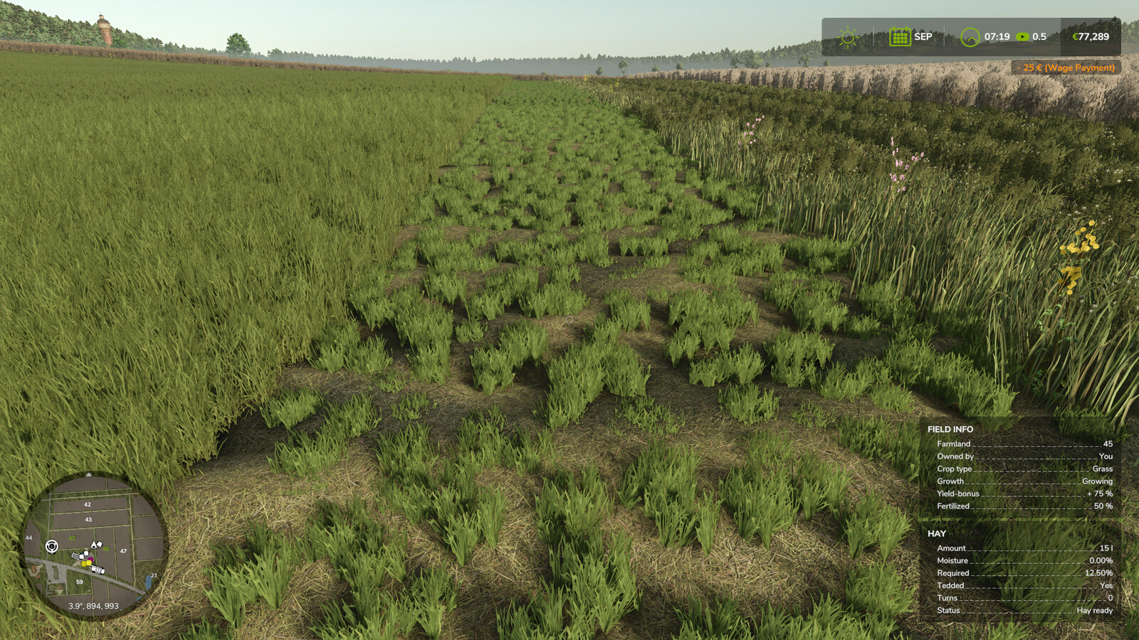 Advanced Hay Drying