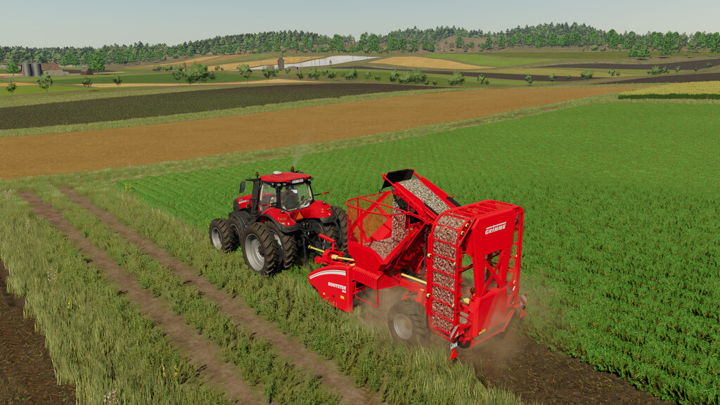ROOTSTER 604 Premium DLC