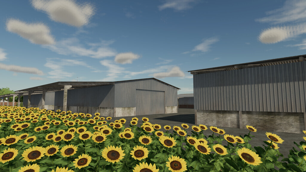 ESC Large Sheds