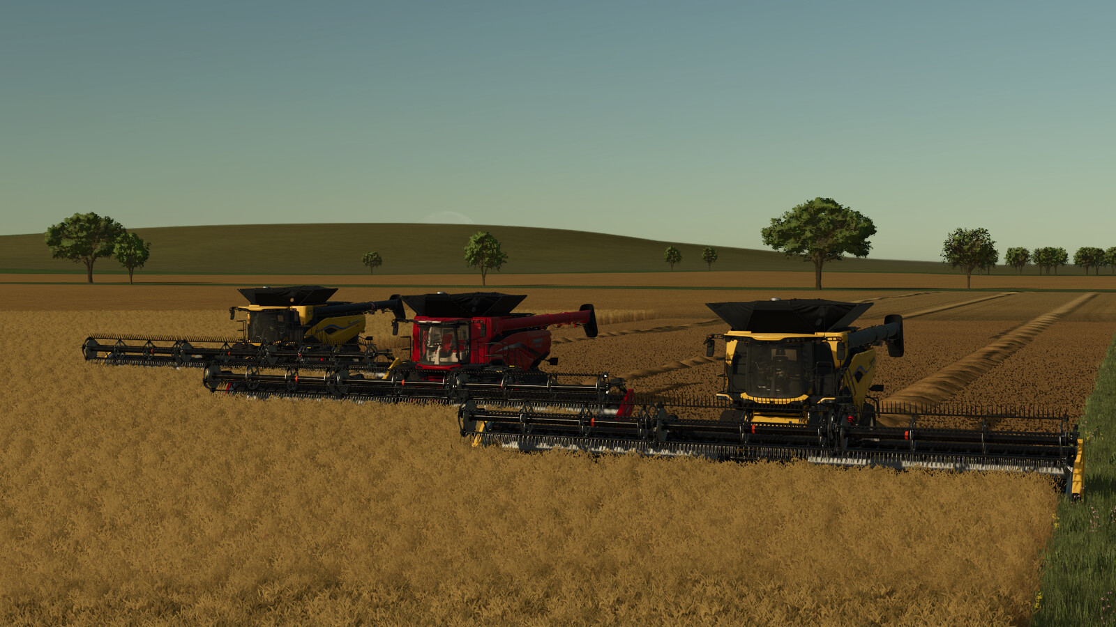 Kansas 16x