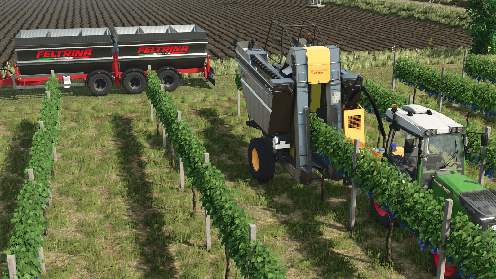 Feltrina Vineyard Series