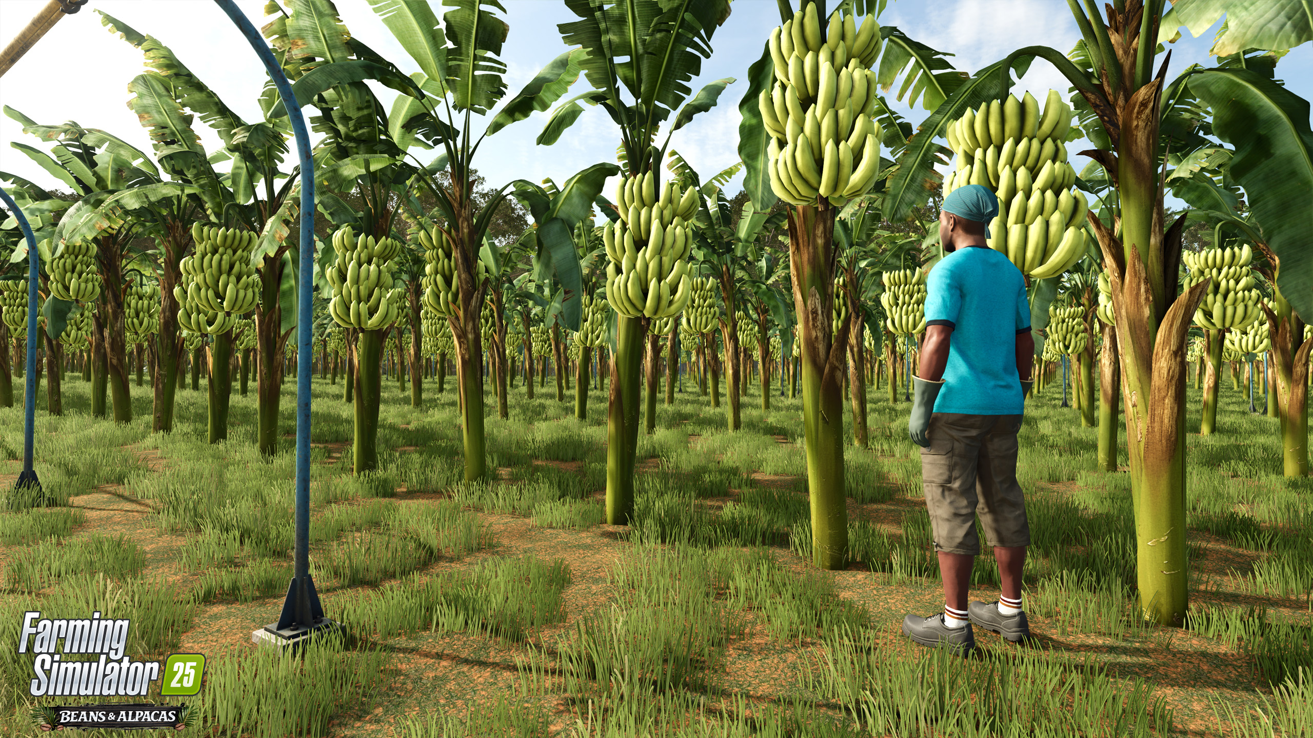 Farming Simulator 25: Beans & Alpacas now available!
