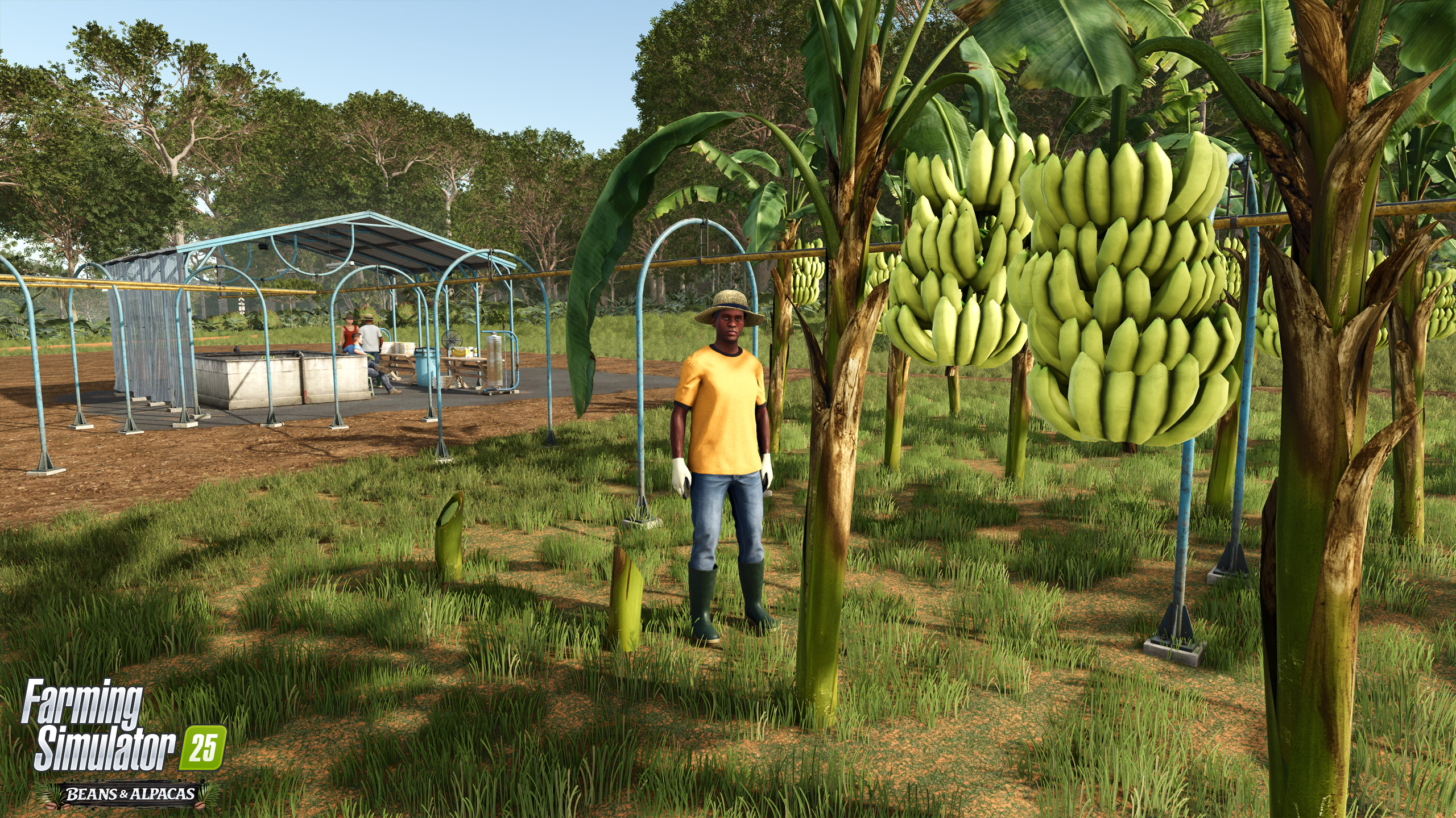 Farming Simulator 25: Beans & Alpacas now available!