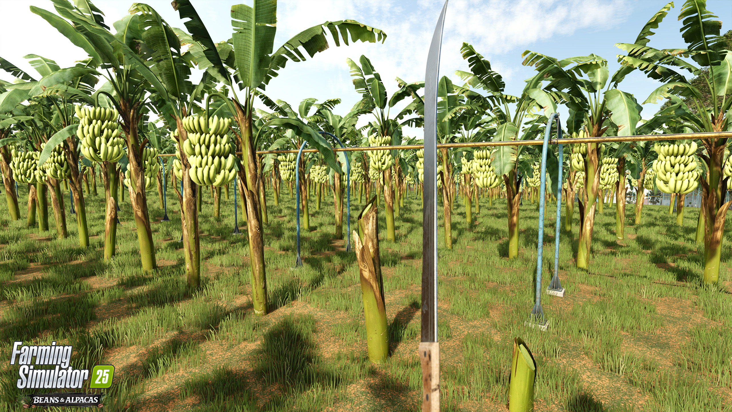 Farming Simulator 25: Beans & Alpacas now available!