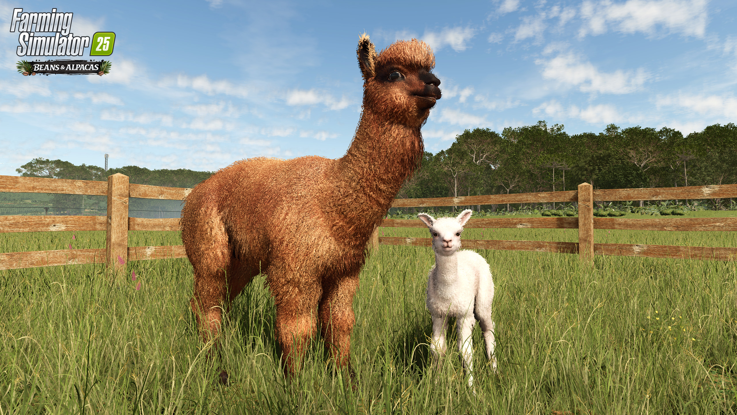 Farming Simulator 25: Beans & Alpacas now available!