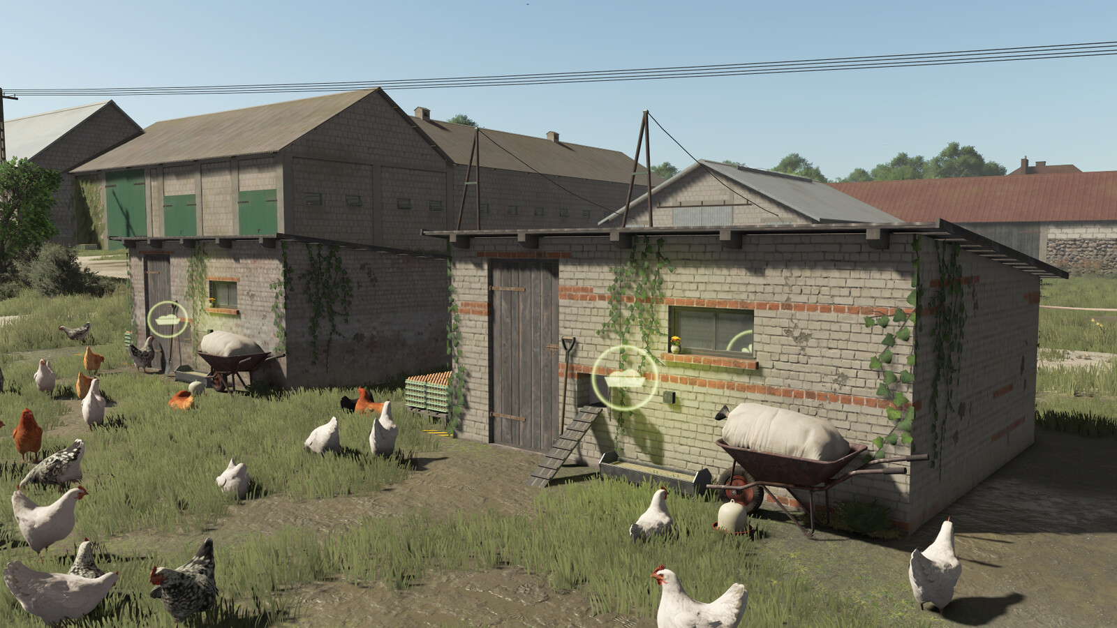 Polish Chicken Coops