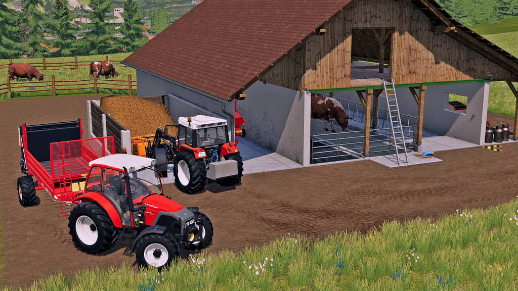 Cow Pasture