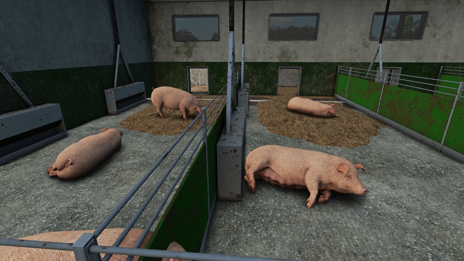 Pig Fattening