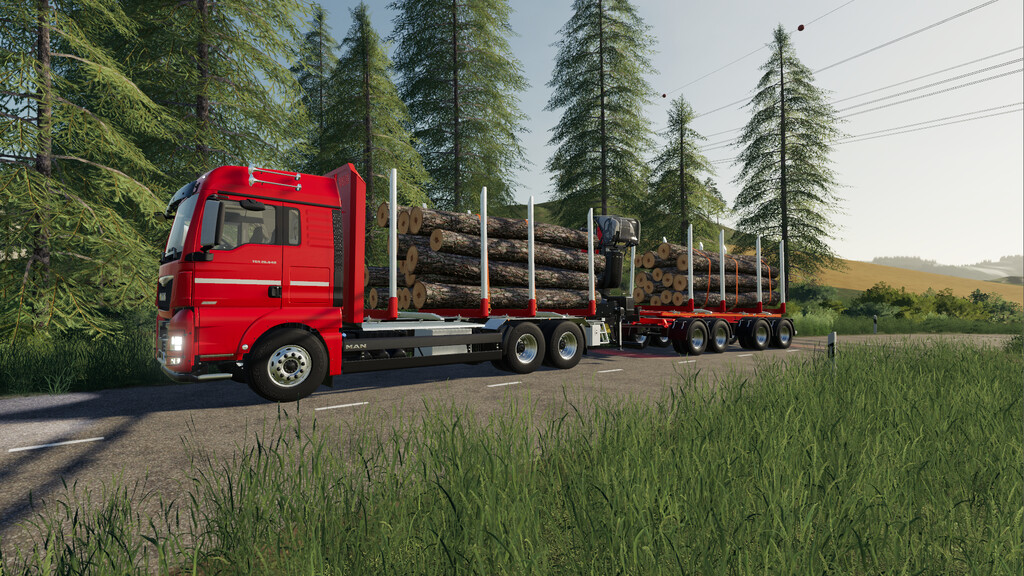 Lizard Short Timber Trailer