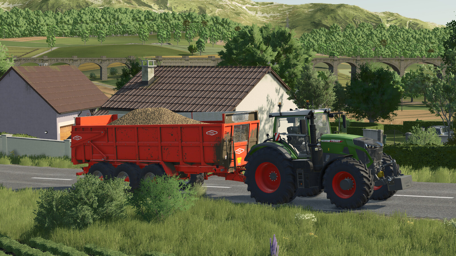 Lizard ORM 240M