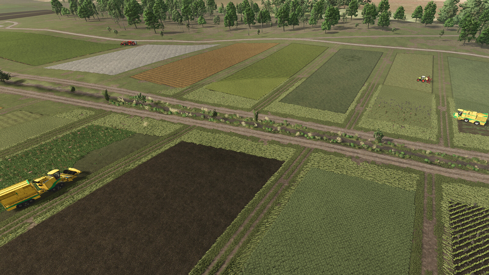 Neighbors On The Fields
