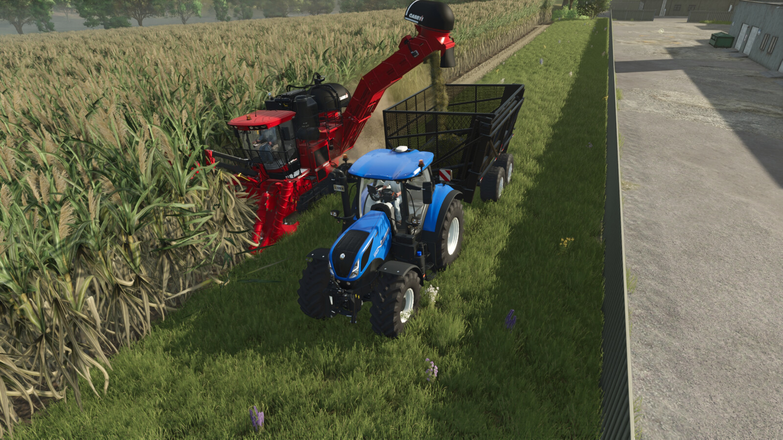 SugarCane Transshipment