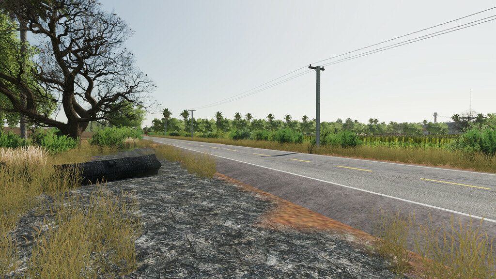 Bacuri Farm 2k21