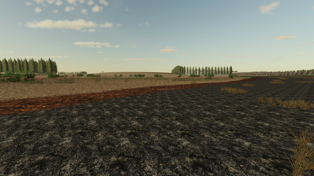 Bacuri Farm 2k21