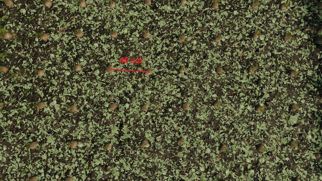 Sugarbeet Spacing Changed Prefab (Prefab*)