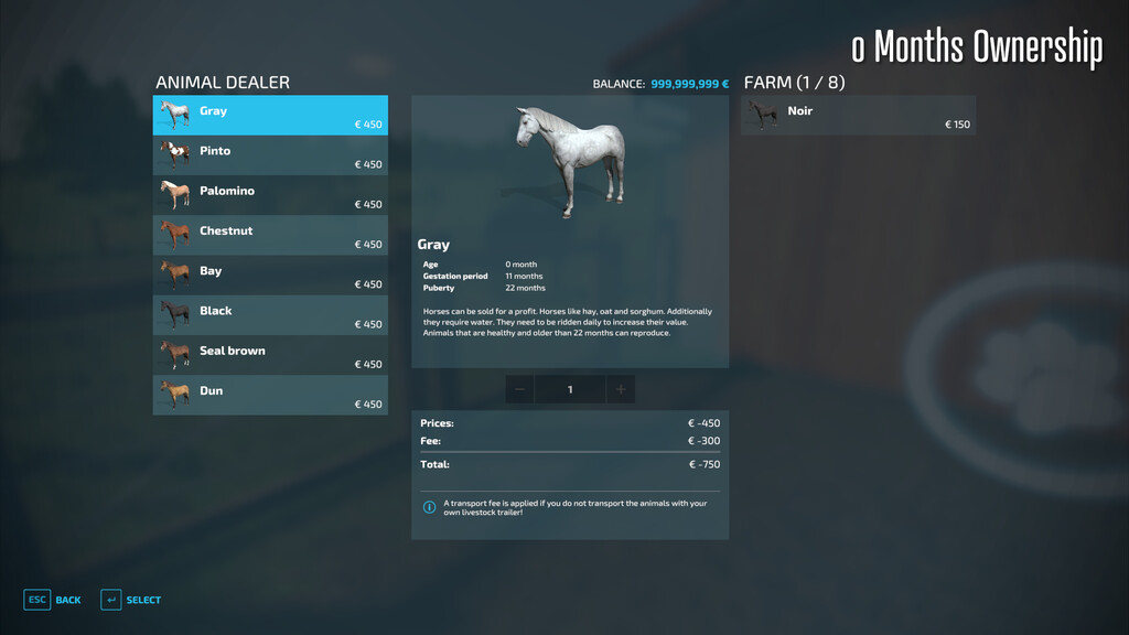 Horse Resell Value
