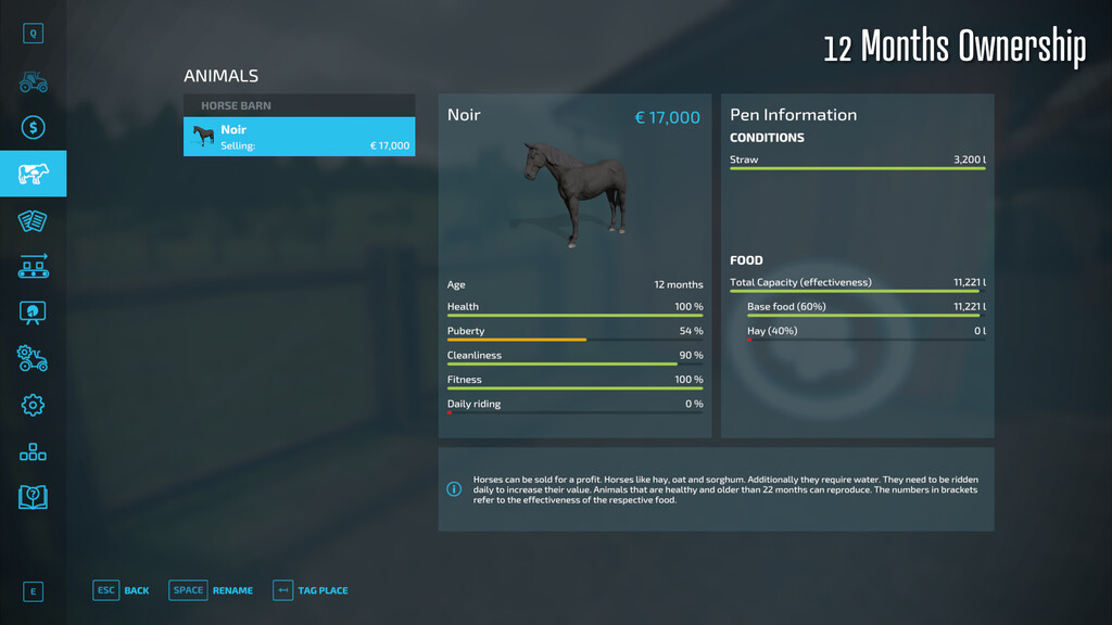 Horse Resell Value