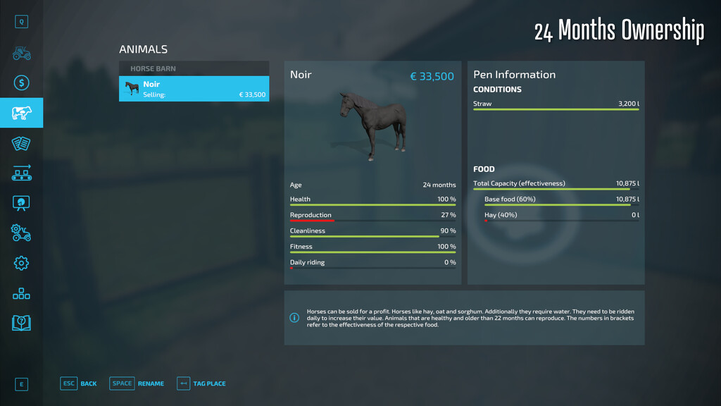 Horse Resell Value