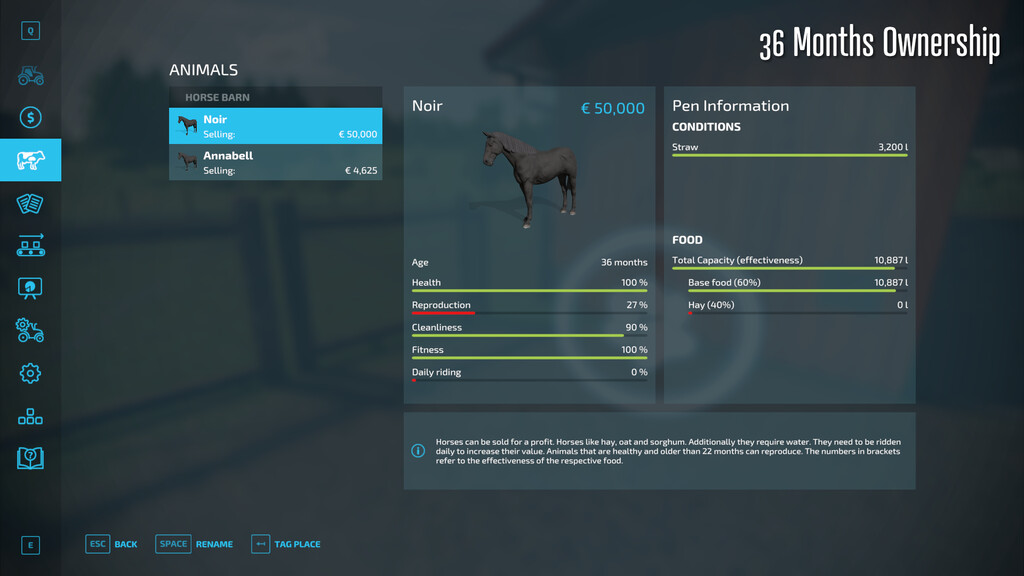 Horse Resell Value
